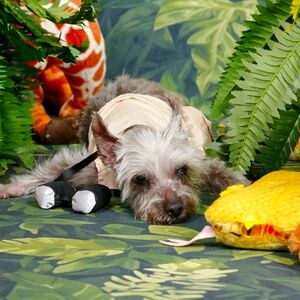 Meet your Posher, Lindsey